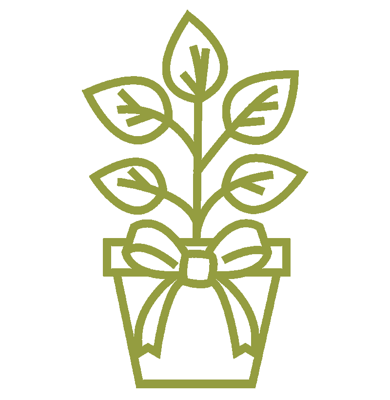 HaleyHumphries_HousewarmingPlant (1)